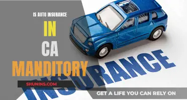 Auto Insurance in California: What You Legally Need to Know