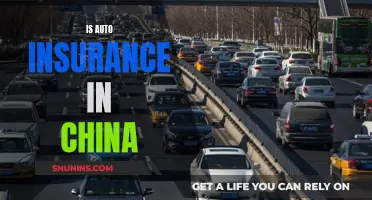 Auto Insurance in China: What You Need to Know