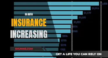 Auto Insurance Rates: Rising Costs and Why