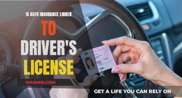 Auto Insurance and Driver's License: What's the Link?