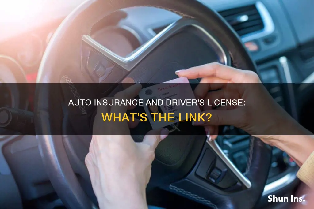 is auto insurance linked to driver