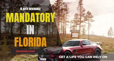 Auto Insurance in Florida: What's the Law?