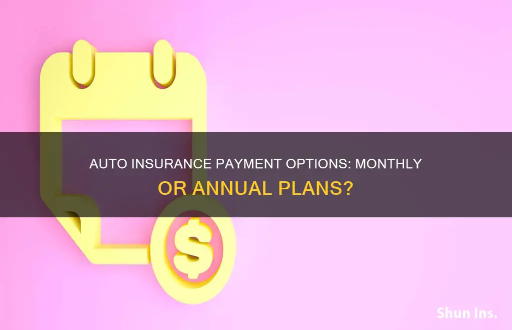 is auto insurance paid monthly or annually