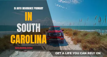 Auto Insurance in South Carolina: Who's Covered First?