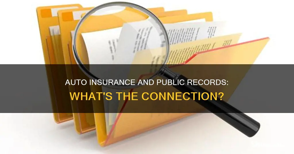 is auto insurance public record