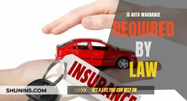 Auto Insurance: Is It a Legal Requirement?