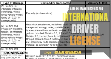 Auto Insurance: International Driver License Requirements Explained