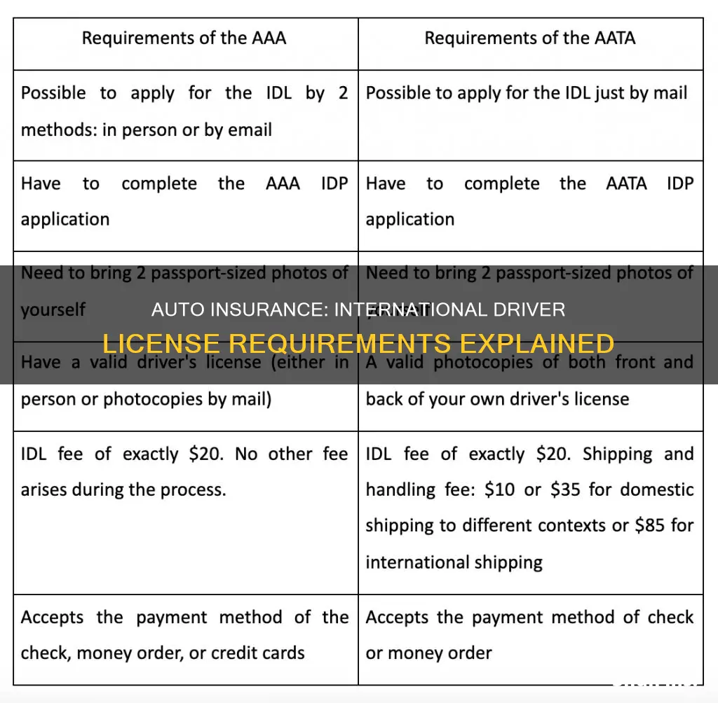 is auto insurance required for international driver license