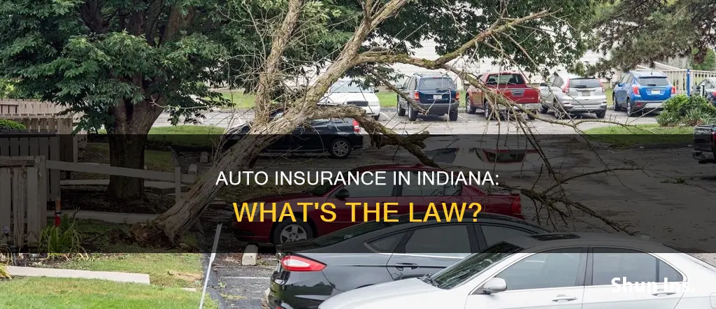 is auto insurance required in Indiana