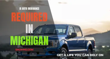 Auto Insurance in Michigan: What's the Law?