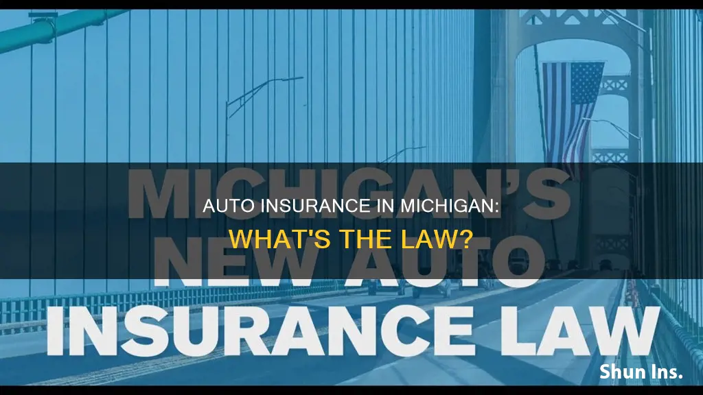 is auto insurance required in Michigan