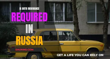 Auto Insurance in Russia: What's the Law?