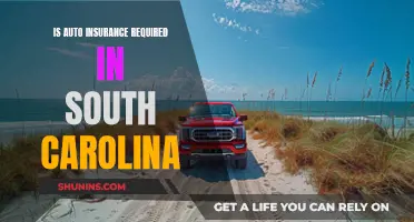 Auto Insurance in South Carolina: What's the Law?