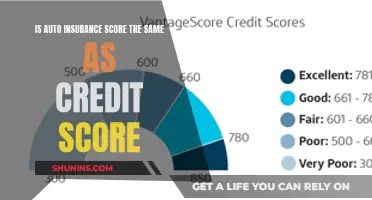 Auto Insurance Score: How Does It Differ From Credit Score?