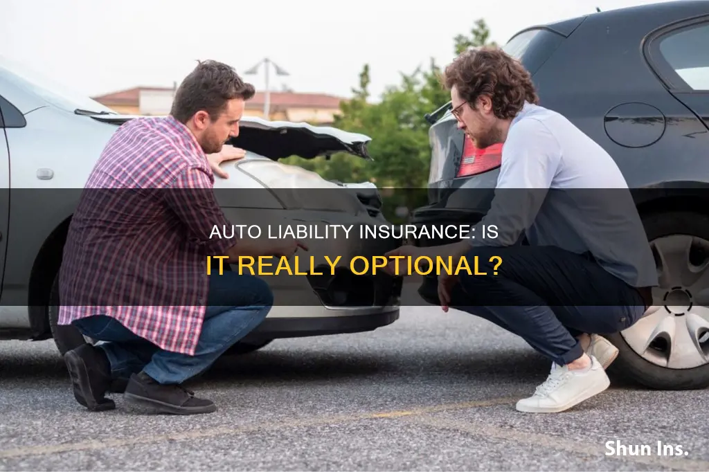 is auto liabilit insurance optional