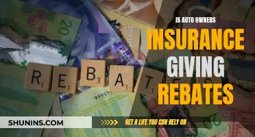 Auto Owners Insurance: Are There Rebates Available?