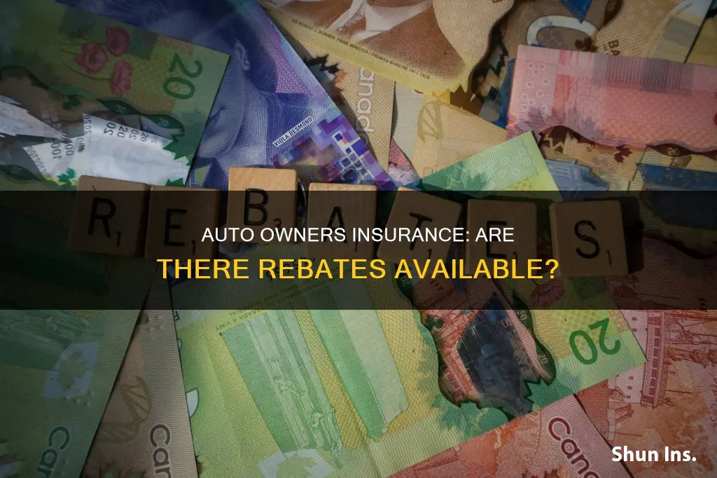 is auto owners insurance giving rebates