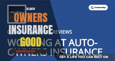 Auto-Owners Insurance: Is It Worth It?