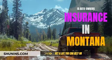 Montana Auto Insurance: What Car Owners Need to Know