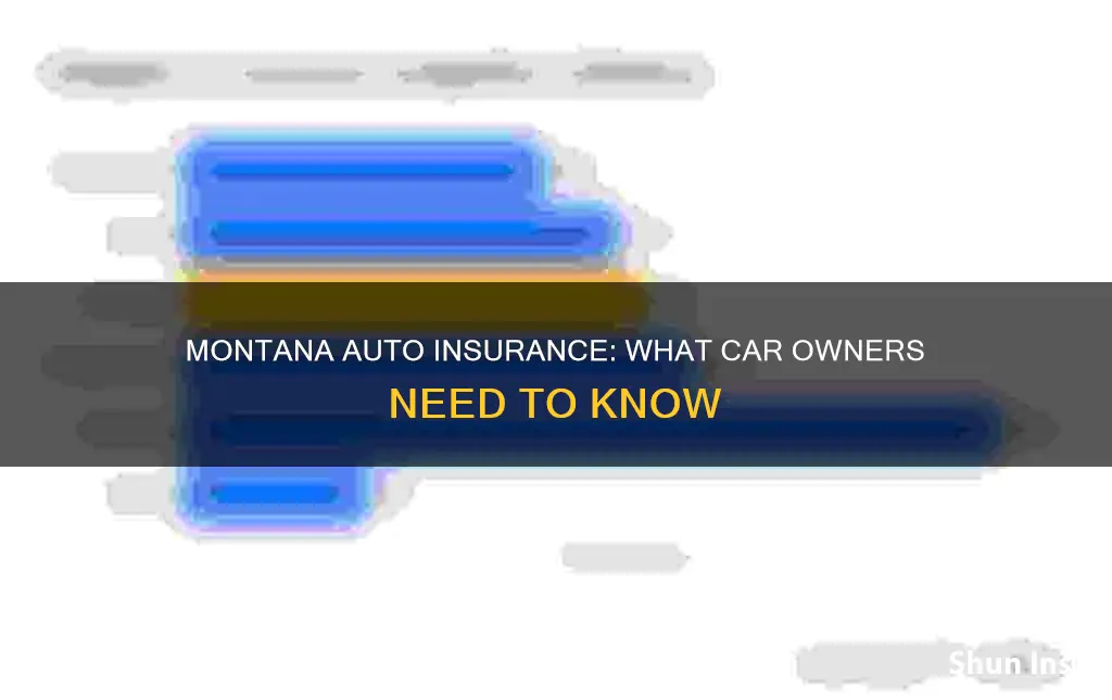 is auto owners insurance in montana