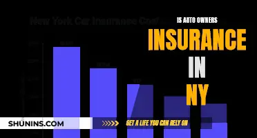 Auto Owners Insurance in NY: What You Need to Know