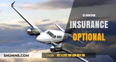 Is Aviation Insurance Optional? Understanding Legal Requirements and Risks
