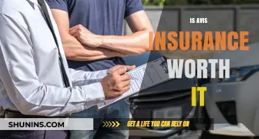 Avis Rental Insurance: Worth the Extra Cost?