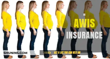 Understanding AWIS Insurance: Benefits, Coverage, and Key Considerations