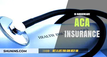 Understanding BadgerCare: Is It ACA-Compliant Health Insurance?