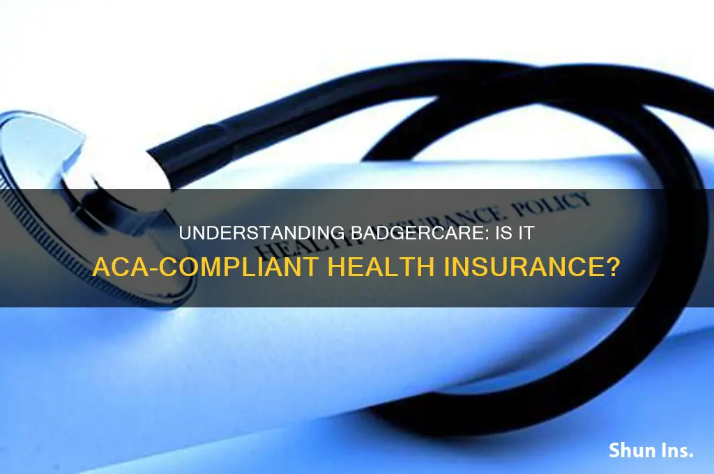 is badgercare aca insurance