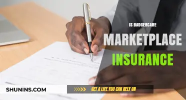 Understanding BadgerCare Marketplace Insurance: Coverage, Eligibility, and Benefits Explained