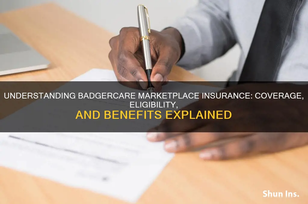 is badgercare marketplace insurance