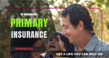 Is BadgerCare Primary Insurance? Understanding Coverage and Benefits