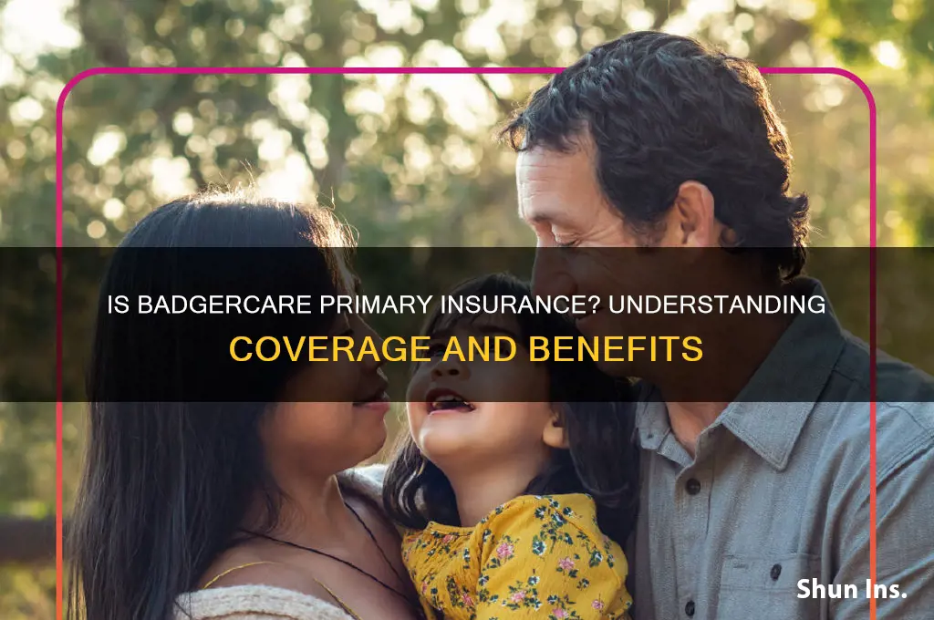 is badgercare primary insurance