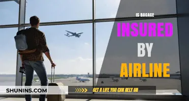 Is Your Baggage Insured? Understanding Airline Liability and Coverage
