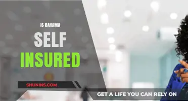 Is the Bahamas Self-Insured? Exploring the Country's Insurance Model
