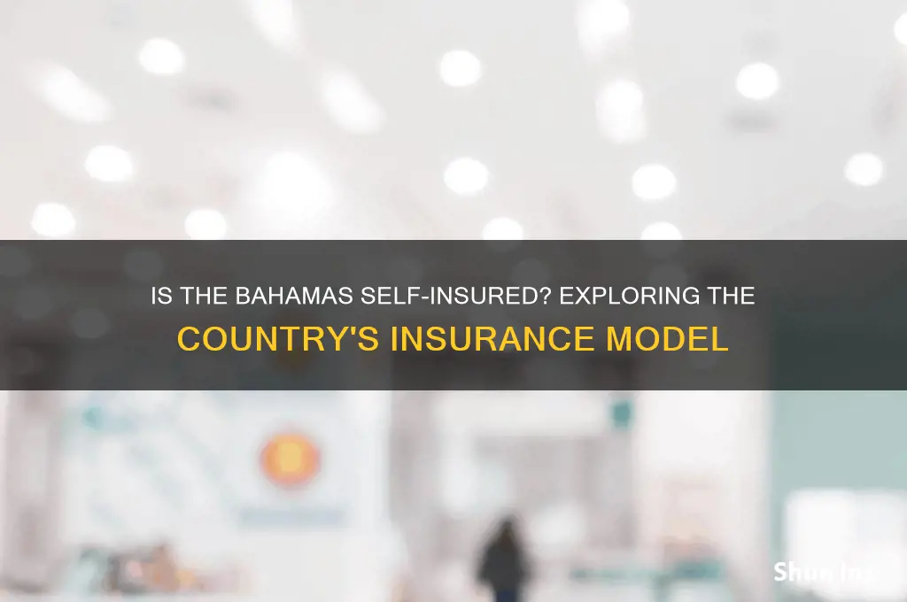 is bahama self insured