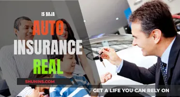 Baja Auto Insurance: Legit or a Scam?