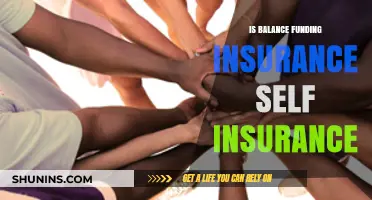 Is Balance Funding a Viable Self-Insurance Strategy for Businesses?