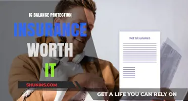 Balance Protection Insurance: Worth the Cost?