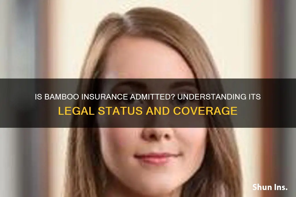 is bamboo insurance admitted
