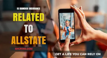 Is Bamboo Insurance Connected to Allstate? Unraveling the Relationship