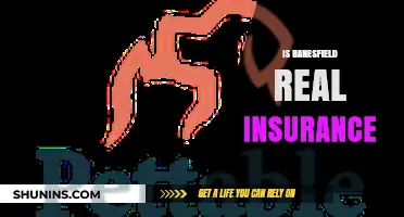 Is Banesfield Real Insurance? Uncovering the Truth Behind the Claims