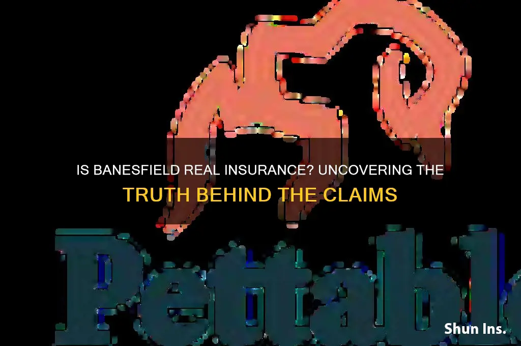is banesfield real insurance