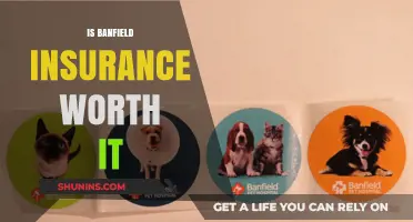 Banfield Insurance: Is It Worth the Cost?