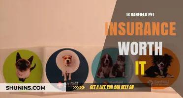 Banfield Pet Insurance: Is It Worth the Cost?