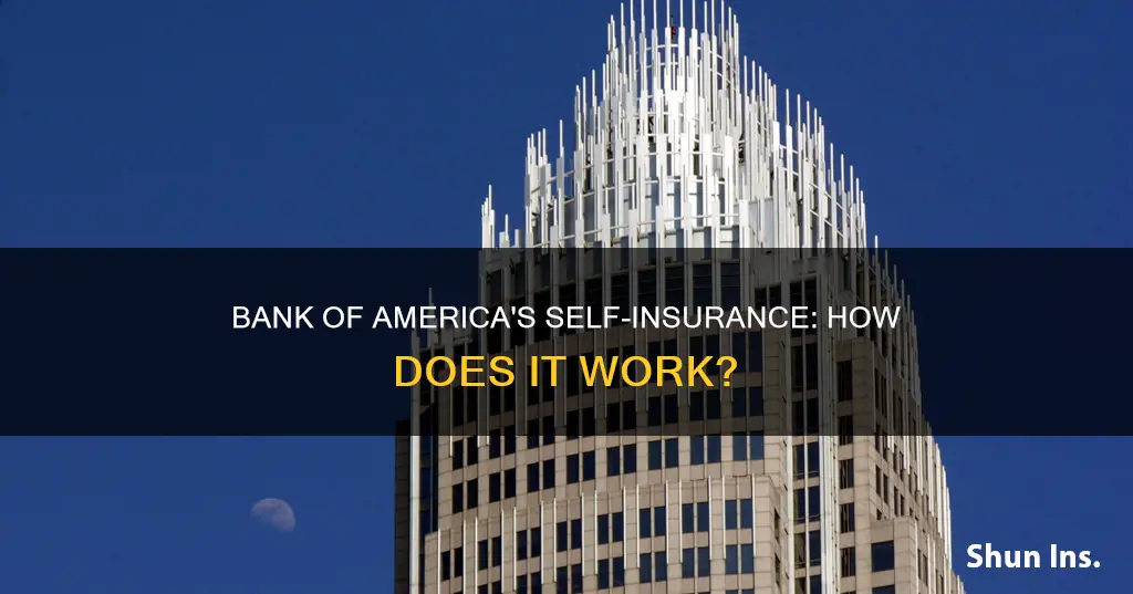 is bank of america self insured