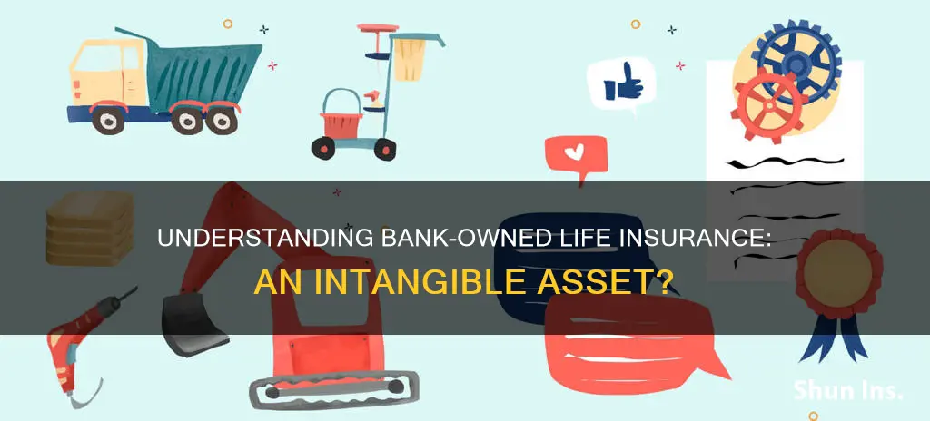 is bank owned life insurance an intangible asset