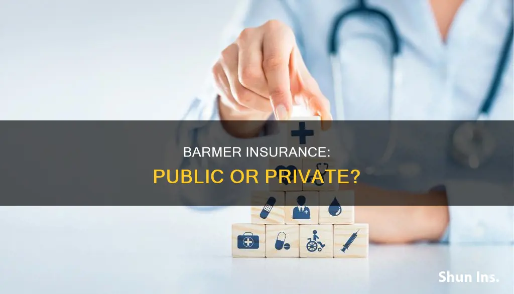 is barmer insurance public or private