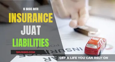 Auto Insurance Basics: Understanding Liabilities and Coverage